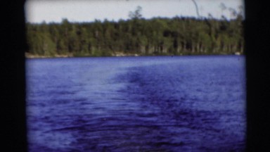 1953: a beautiful pine covered shoreline as seen from a moving vessel