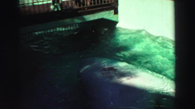 1969: let's play in the water YOSEMITE, CALIFORNIA