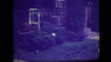 1946: family dog loves playing fetch! LAS VEGAS, NEVADA