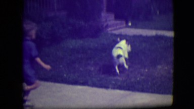1946: the day mom and son were playing in the front yard with the dog LAS VEGAS