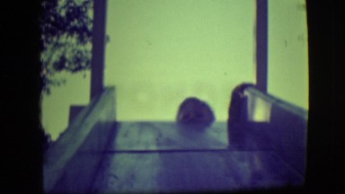 1946: "young boy on a slide having fun going up and sliding down
