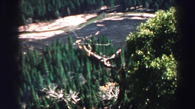 1969: house and a alone beautiful place YOSEMITE, CALIFORNIA