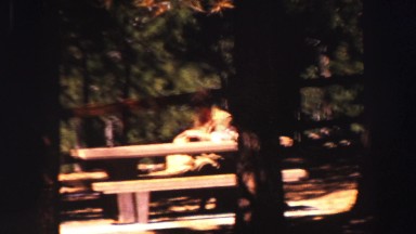 1969: a woman rests sitting on a bench in a pretty wooded rural area YOSEMITE,