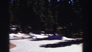 1969: clear road with snowbanks on the side surrounded by trees YOSEMITE,
