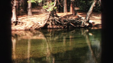 1969: swamp and tree roots at an overhang YOSEMITE, CALIFORNIA