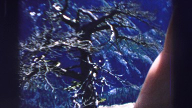 1969: person with outstretched hand showing scenery from high ground YOSEMITE,