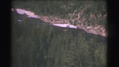 1951: he beautiful huge forest with the huge trees CANADA
