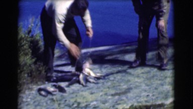 1951: man with huge catch of fish counts his score and shows off to friend