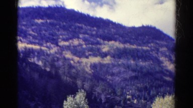 1967: mountain in the distance and trees in foreground COLORADO