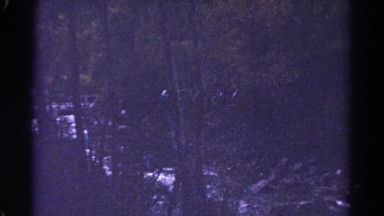 1967: forest area is seen COLORADO