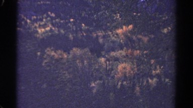 1967: forest area is seen COLORADO