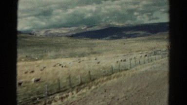 1967: drive through mountains and caw view COLORADO