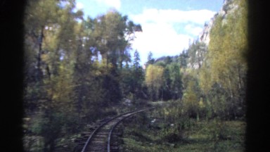 1967: forest area is seen COLORADO