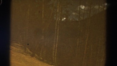 1967: forest area is seen COLORADO