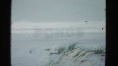 1951: snow playing is seen DANVILLE, ILLINOIS