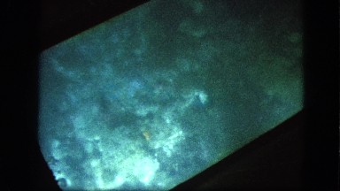1963: looking through bottom of glass bottom boat at seabed floor CALIFORNIA