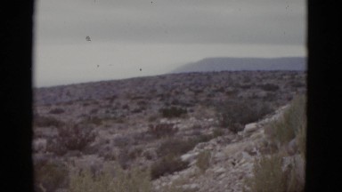 1952: view of uneven shrub landscape on an overcast day NEW ORLEANS