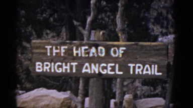 1952: forest area is seen CALIFORNIA