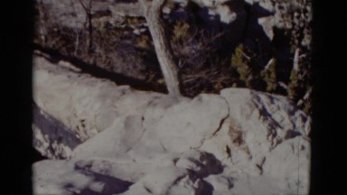 1952: hilly area is seen with trees and greenery CALIFORNIA