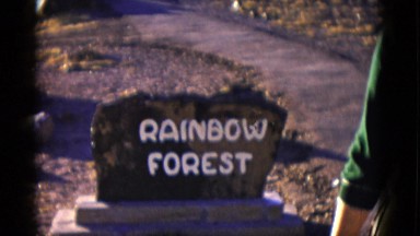 1952: forest area is seen CALIFORNIA