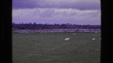 1969: a garden is seen ENGLAND