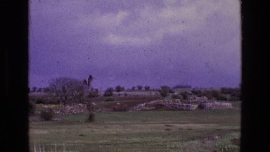 1969: A Grassland With Car Tracks in Ireland