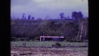 1969: a forest area is seen IRELAND