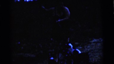 1963: dogs are seen CAMDEN, NEW JERSEY