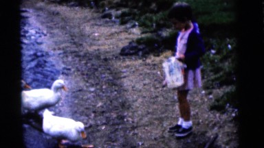 1963: birds are seen feeding themselves CAMDEN, NEW JERSEY