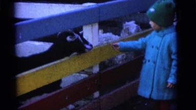 1963: a child is seen near a goat CAMDEN, NEW JERSEY