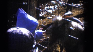 1963: child feeding pet goat CAMDEN, NEW JERSEY