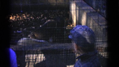 1963: vacationing family feeds baby swine and deer through tall fence. CAMDEN
