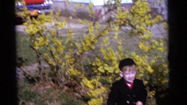 1963: kids by tree waving pinwheels CAMDEN, NEW JERSEY