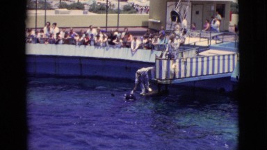 1968: a male trainer entertaining people at a seaworld with a porpoise in tank.