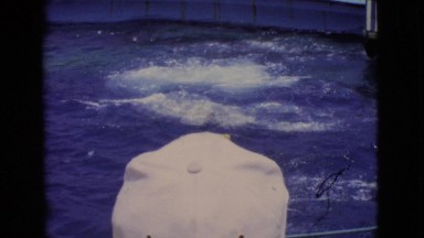 1968: dolphins jumping in the aquarium. COTTONWOOD, ARIZONA