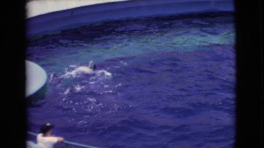 1968: a circus is seen in progress with water COTTONWOOD, ARIZONA