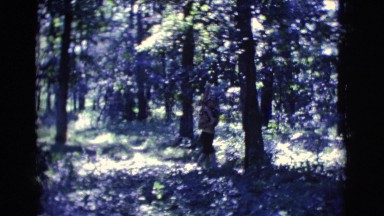 1961: a forest area is seen with snow CLARKSDALE, ARIZONA