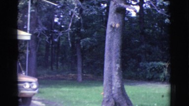 1961: a garden is seen CLARKSDALE, ARIZONA