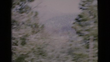 1968: lake view motorboats trees shore leaves dock hillside COTTONWOOD, ARIZONA