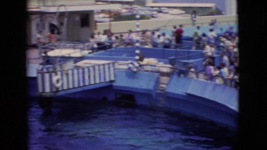 1968: the sea-life show at the aquarium. COTTONWOOD, ARIZONA