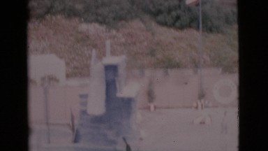 1968: seals performing various tricks in a water park attraction COTTONWOOD