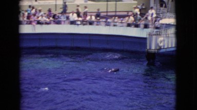 1968: a circus is seen in progress with water COTTONWOOD, ARIZONA