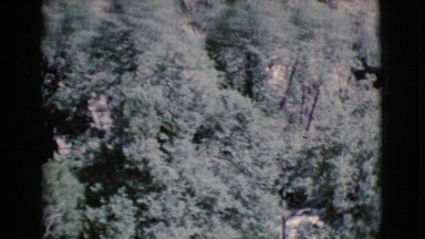 1964: a beautiful rugged mountain ridge as seen pine trees COTTONWOOD, ARIZONA