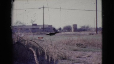 1964: dried grass on the yard of a home with farns all around on a sunny day.
