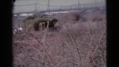 1964: fields in the mid west COTTONWOOD, ARIZONA