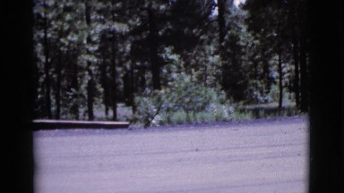 1964: a snow playing is seen COTTONWOOD, ARIZONA