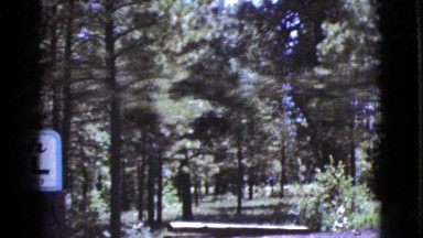 1964: a forest area is seen COTTONWOOD, ARIZONA