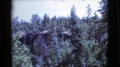 1964: a forest area is seen COTTONWOOD, ARIZONA