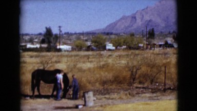 1968: two small boys petting a large black horse in an open field CLARKSDALE