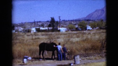 1968: a horse is seen being pet and a child runs CLARKSDALE, ARIZONA